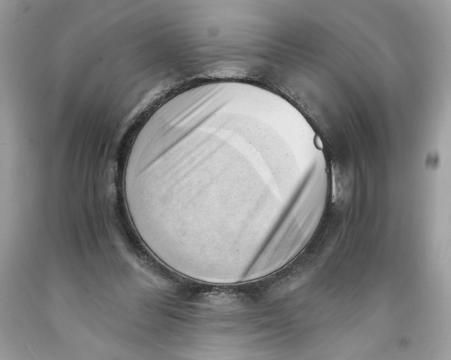 X0000091570300200709101002