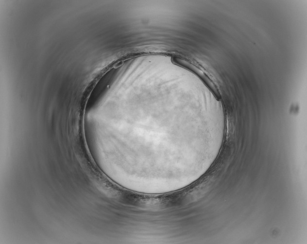 X0000091570301200709101002