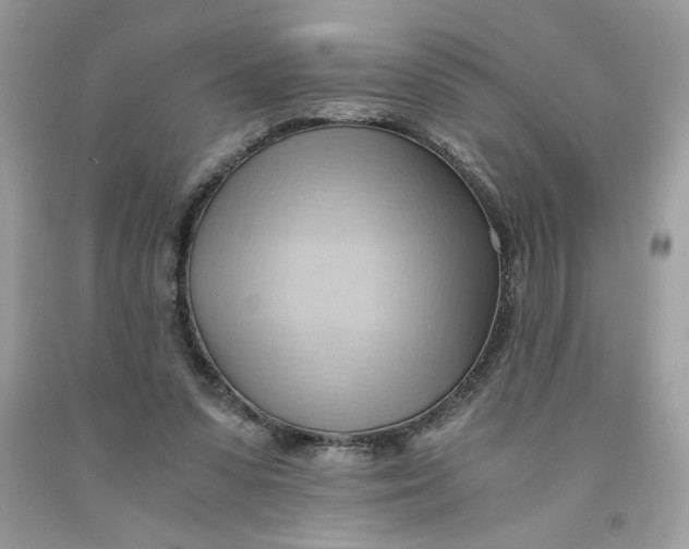 X0000091570303200709101002