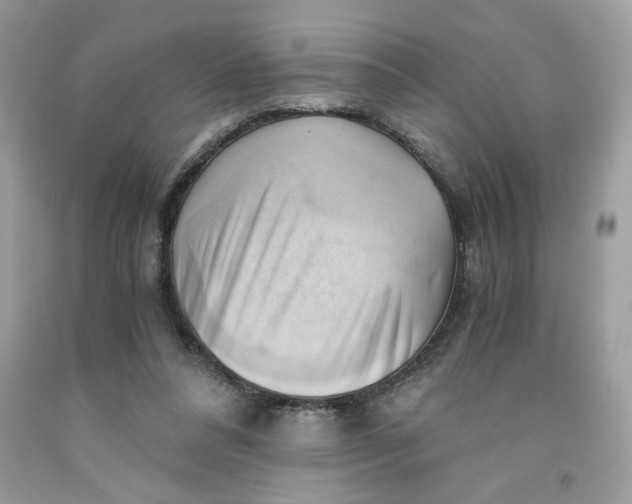 X0000091570304200709101002