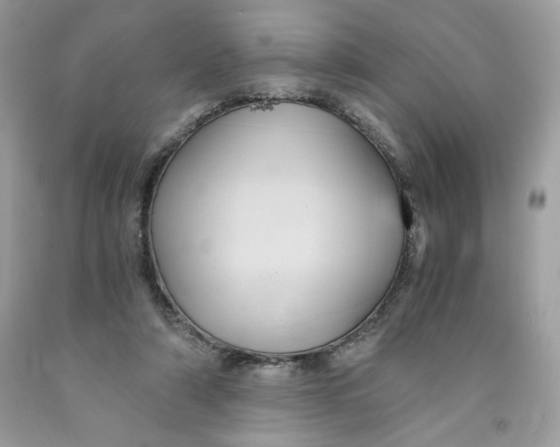 X0000091570306200709101002