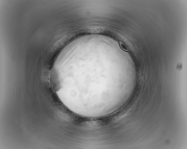 X0000091570307200709101002