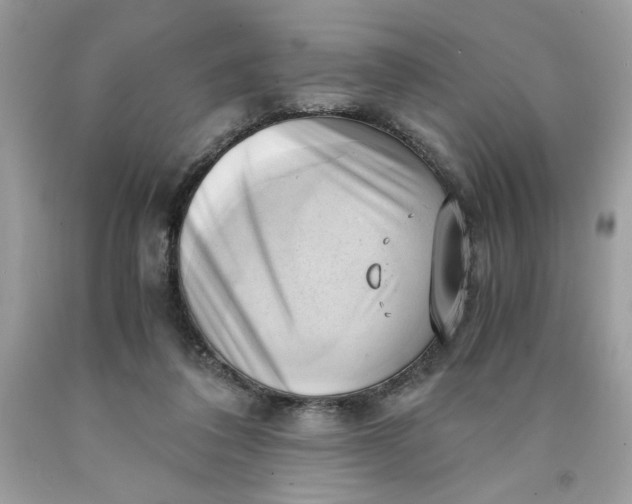 X0000091570308200709101002