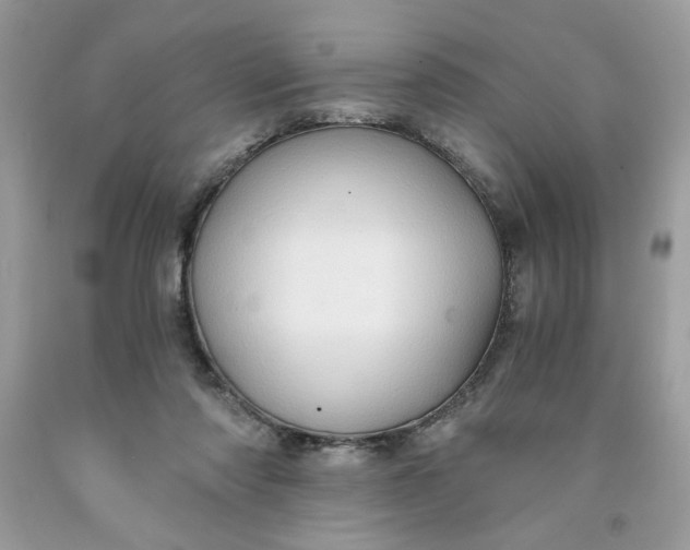 X0000091570310200709101002