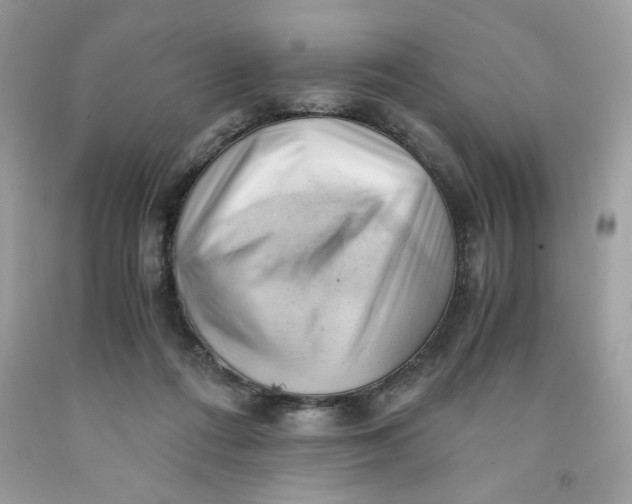 X0000091570312200709101002