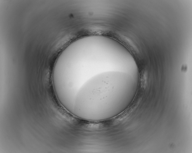 X0000091570314200709101002