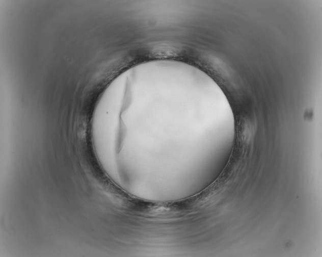 X0000091570315200709101002