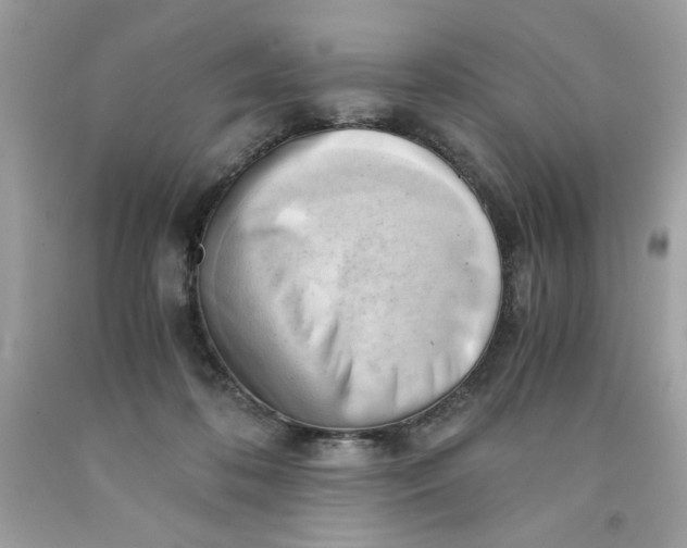 X0000091570316200709101002