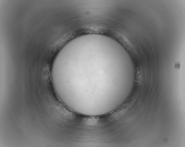 X0000091570318200709101002