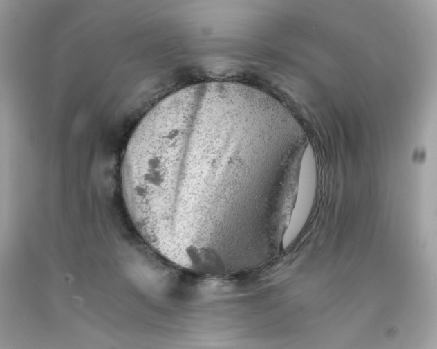 X0000091570319200709101002