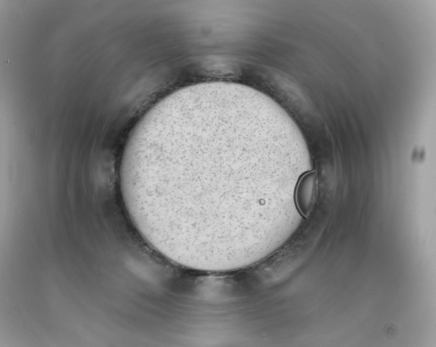 X0000091570320200709101002