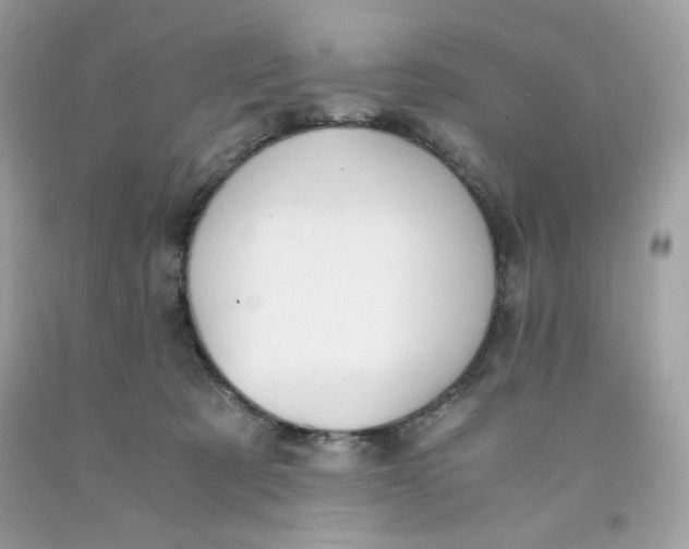 X0000091570321200709101002