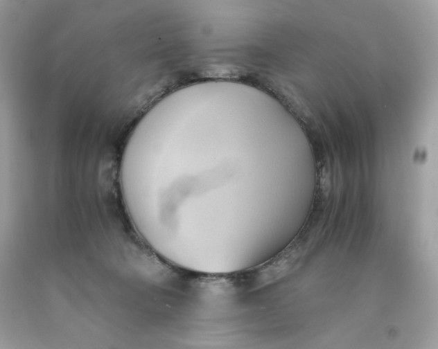 X0000091570322200709101002