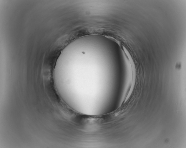 X0000091570323200709101002