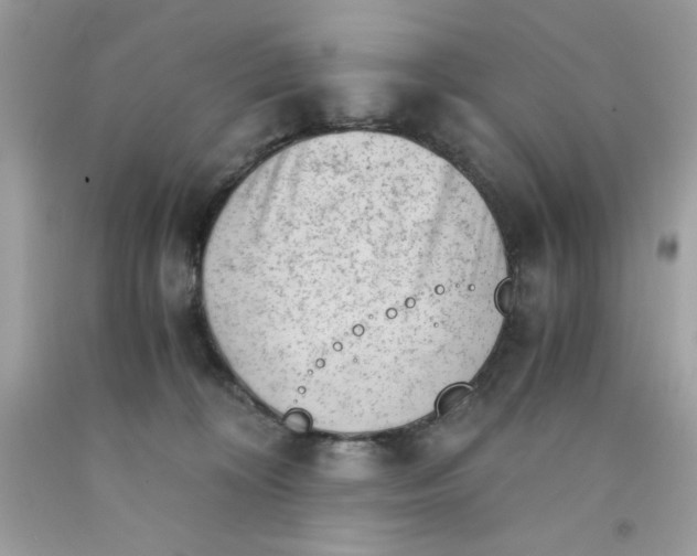 X0000091570324200709101002