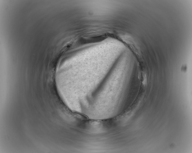 X0000091570325200709101002