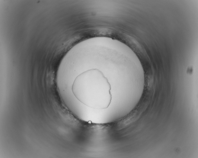 X0000091570326200709101002