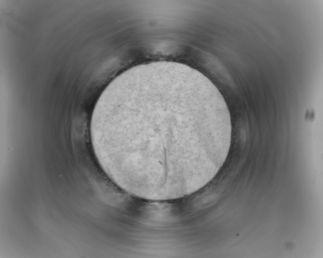 X0000091570328200709101002