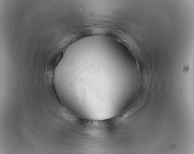 X0000091570329200709101002