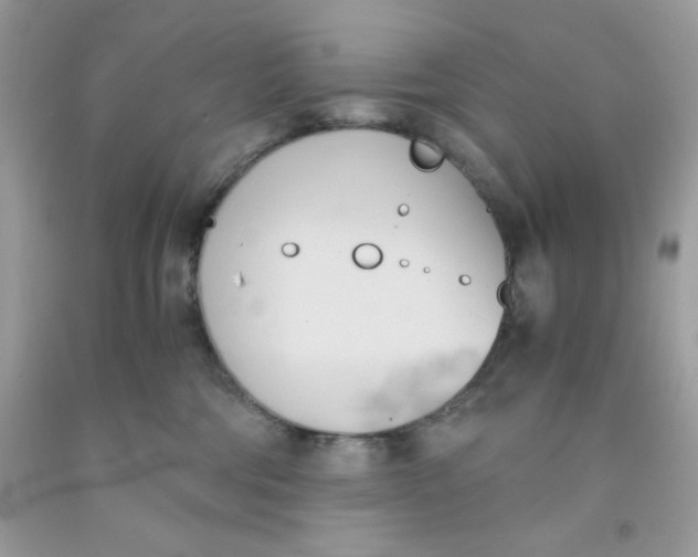 X0000091570330200709101002