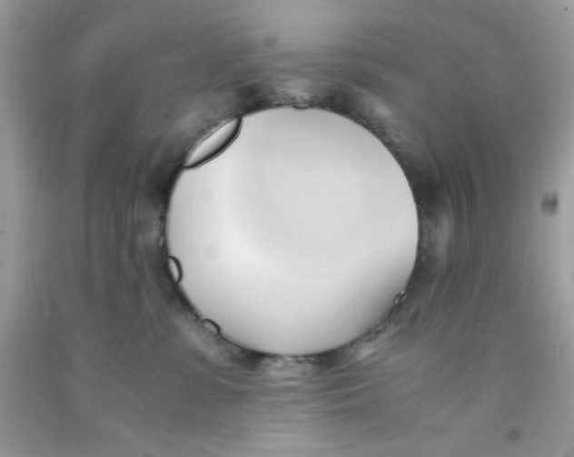 X0000091570331200709101002