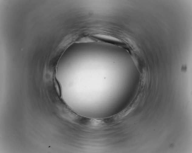 X0000091570333200709101002