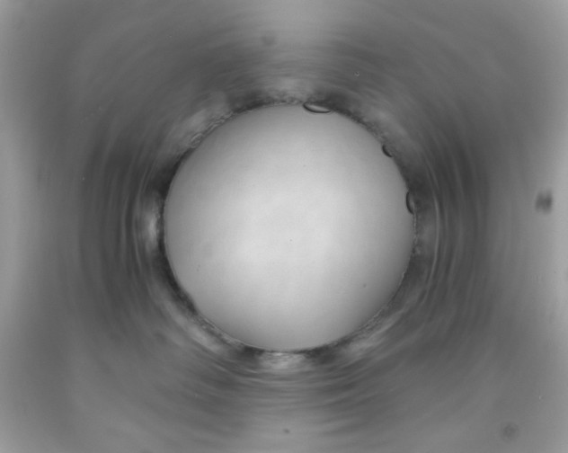 X0000091570334200709101002