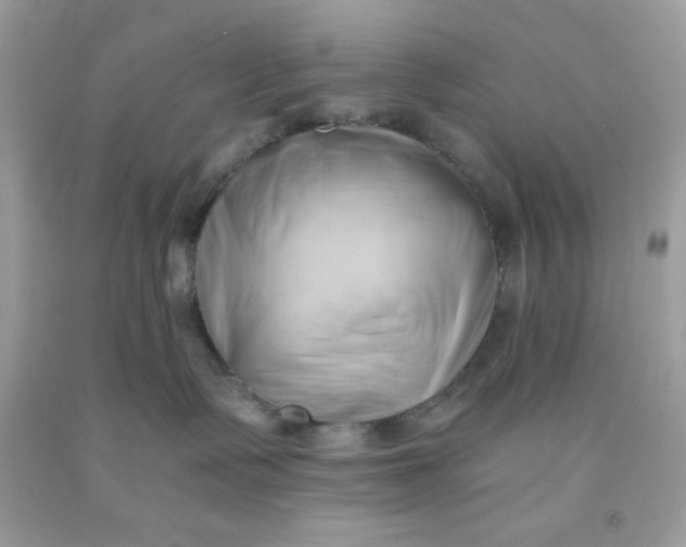 X0000091570335200709101002