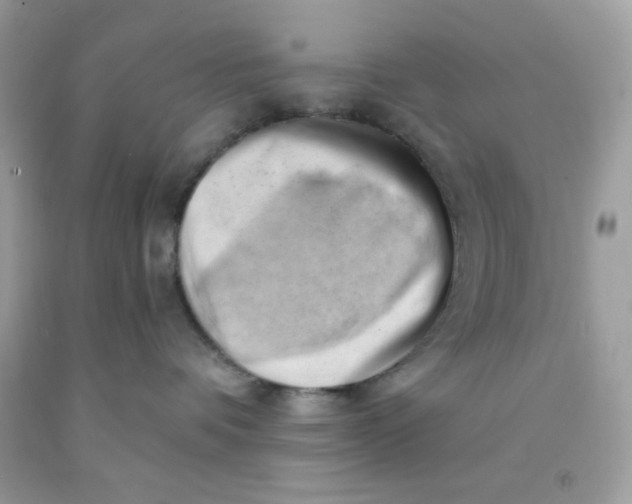 X0000091570336200709101002