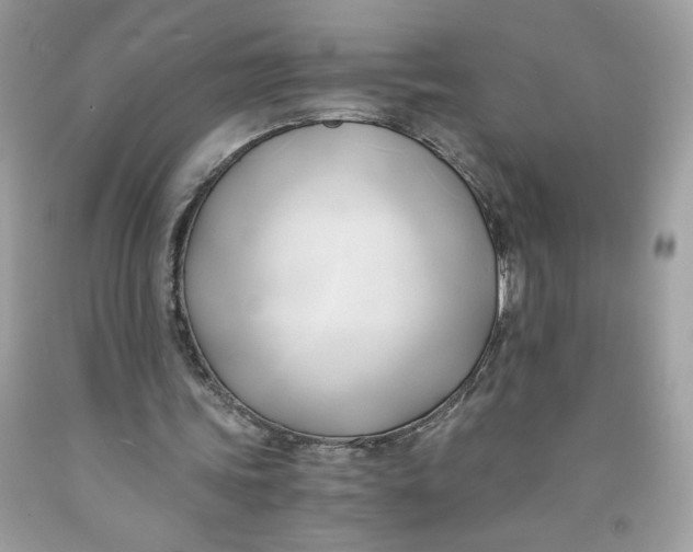 X0000091570339200709101001