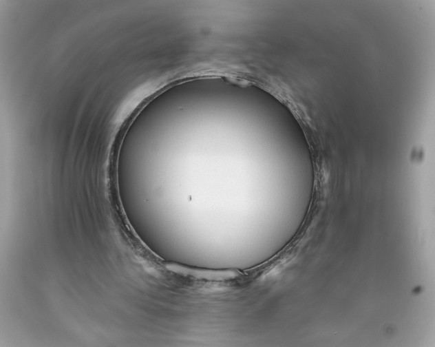 X0000091570340200709101001