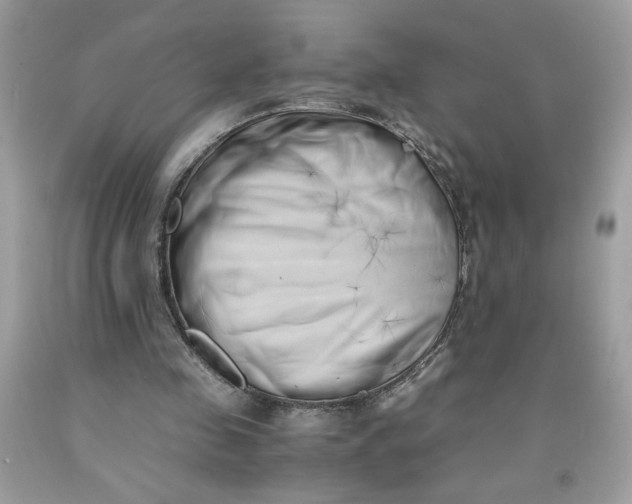 X0000091570341200709101001