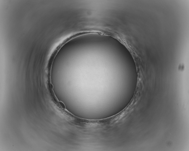 X0000091570342200709101001