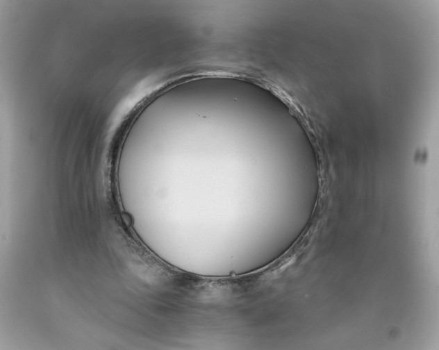 X0000091570343200709101001