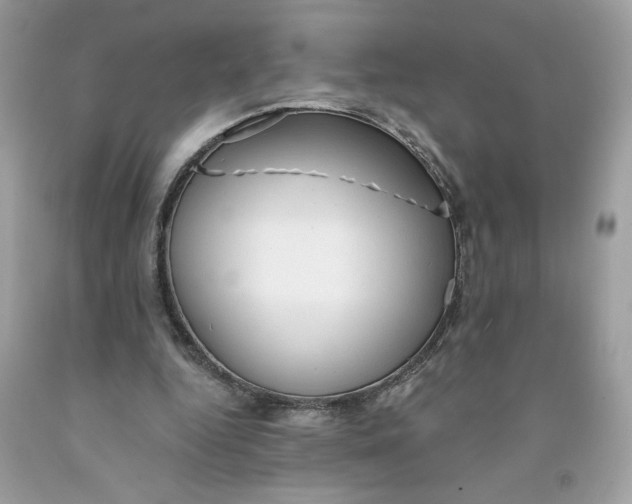 X0000091570344200709101001