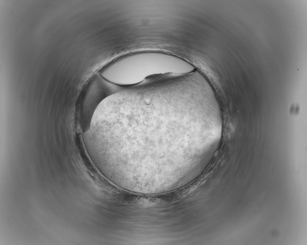 X0000091570346200709101001