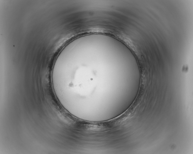 X0000091570347200709101001