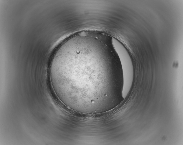 X0000091570348200709101001