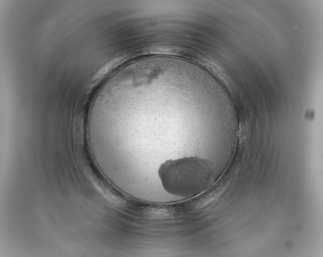 X0000091570349200709101001