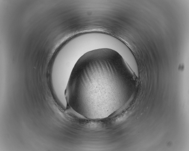 X0000091570350200709101001