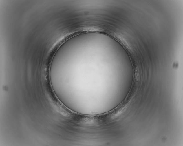 X0000091570351200709101001