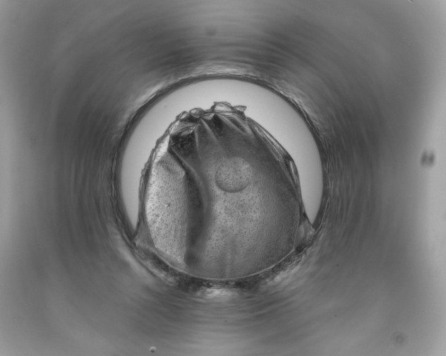 X0000091570352200709101001