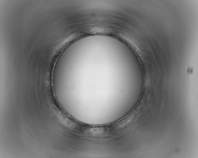 X0000091570353200709101001