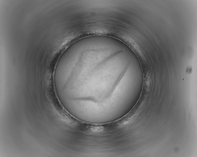 X0000091570355200709101001