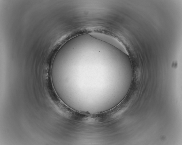 X0000091570356200709101001