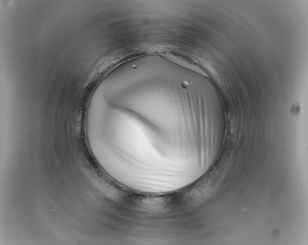 X0000091570357200709101001