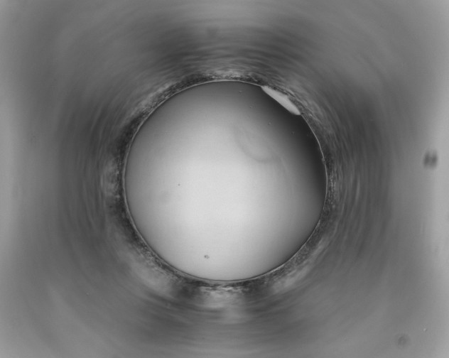 X0000091570359200709101002