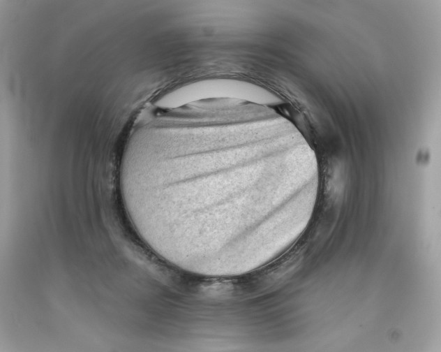 X0000091570362200709101002