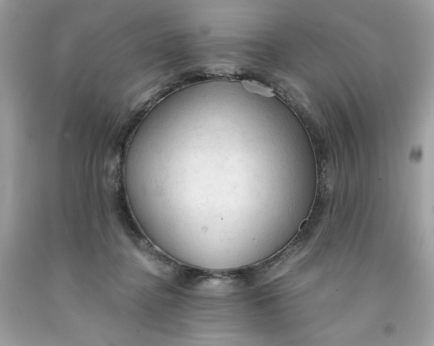 X0000091570364200709101002