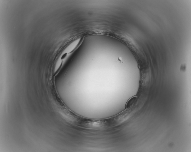 X0000091570365200709101002